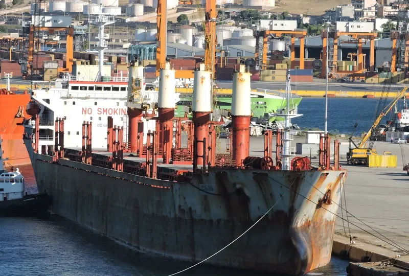 HOLLY PIONEER Bulk Carrier IMO 9214537 photo 7