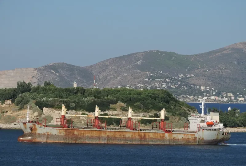 HOLLY PIONEER Bulk Carrier IMO 9214537 photo 10