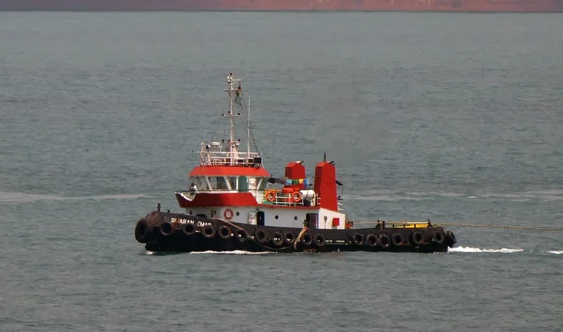 SINARAN EMAS General Cargo IMO 9214824