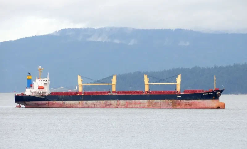AURORA CHRISTINE Bulk Carrier IMO 9214862 photo 10