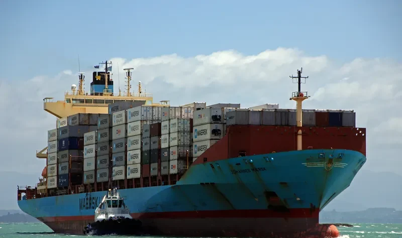 JOHANNES MAERSK Container Ship IMO 9215189 photo 2