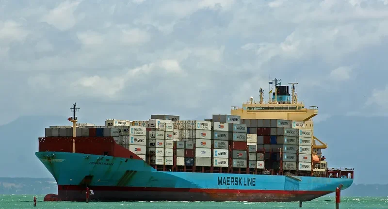 JOHANNES MAERSK Container Ship IMO 9215189 photo 8