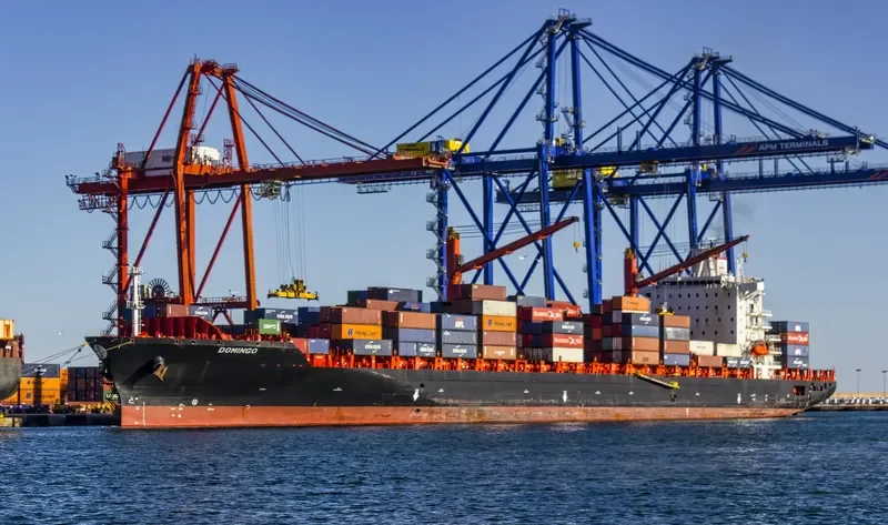 DOMINGO Container Ship IMO 9215672