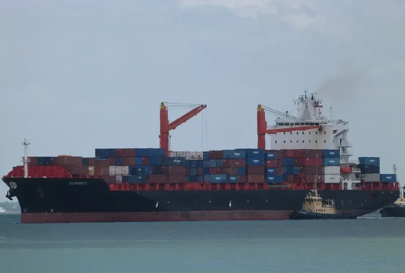 DOMINGO Container Ship IMO 9215672 photo 3