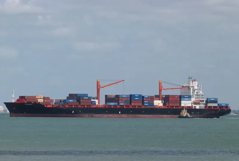 DOMINGO Container Ship IMO 9215672 photo 4
