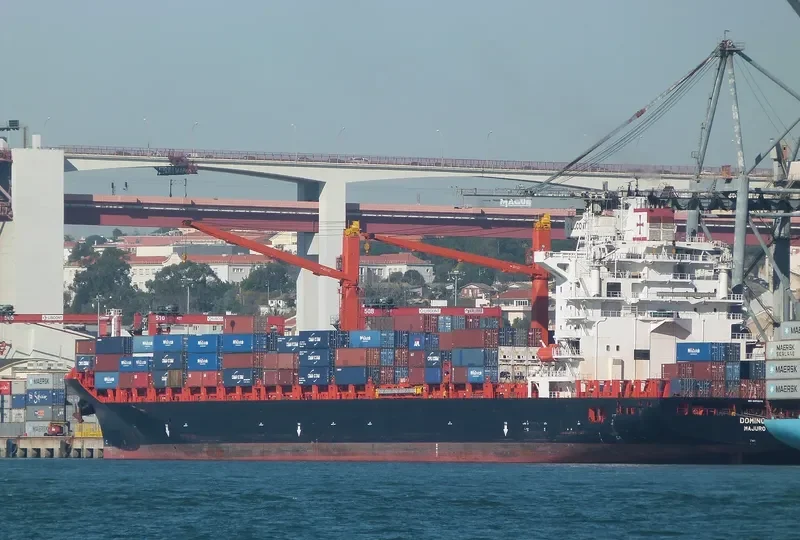 DOMINGO Container Ship IMO 9215672 photo 5