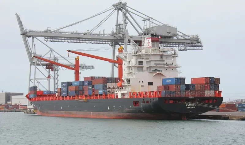 DOMINGO Container Ship IMO 9215672 photo 6