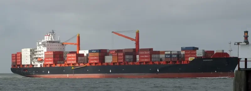 DOMINGO Container Ship IMO 9215672 photo 7