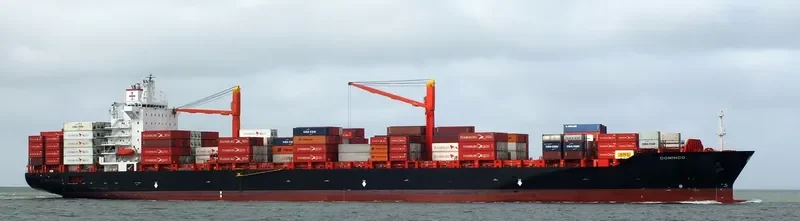 DOMINGO Container Ship IMO 9215672 photo 8