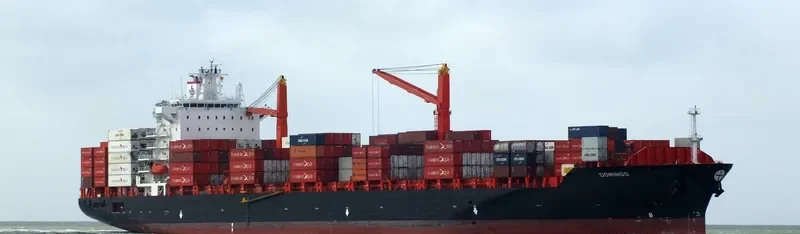 DOMINGO Container Ship IMO 9215672 photo 9