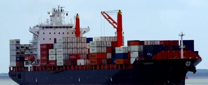 DOMINGO Container Ship IMO 9215672 photo 10