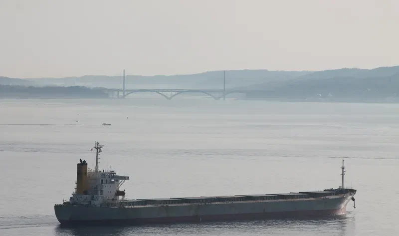GUAN LAN HU Bulk Carrier IMO 9215737 photo 2