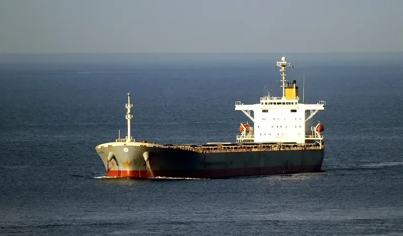 GUAN LAN HU Bulk Carrier IMO 9215737 photo 5