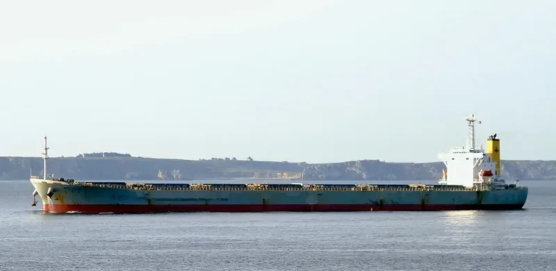 GUAN LAN HU Bulk Carrier IMO 9215737 photo 6