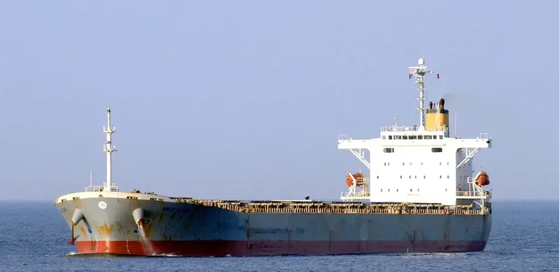 GUAN LAN HU Bulk Carrier IMO 9215737 photo 7