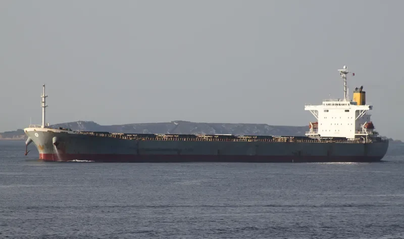 GUAN LAN HU Bulk Carrier IMO 9215737 photo 8
