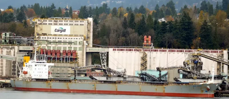 GUAN LAN HU Bulk Carrier IMO 9215737 photo 9