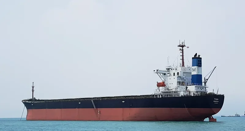 EVERSHINE Bulk Carrier IMO 9215749