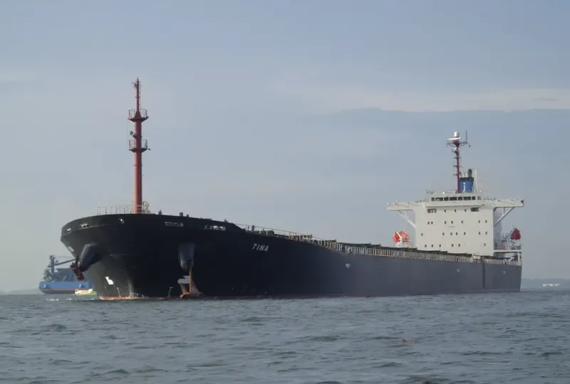 EVERSHINE Bulk Carrier IMO 9215749 photo 3