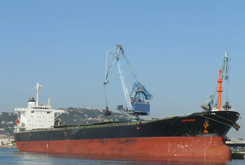 EVERSHINE Bulk Carrier IMO 9215749 photo 5