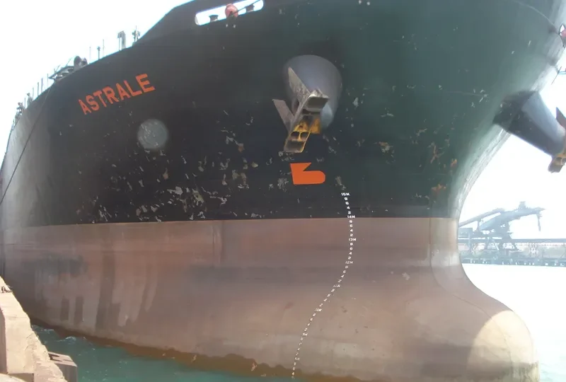 EVERSHINE Bulk Carrier IMO 9215749 photo 6