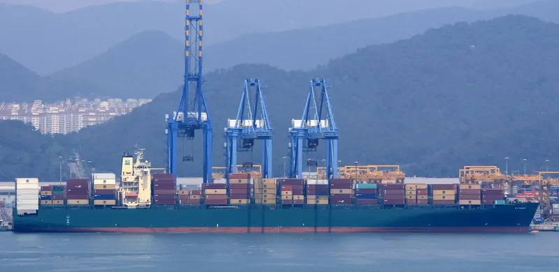 DS KINGDOM Container Ship IMO 9215828