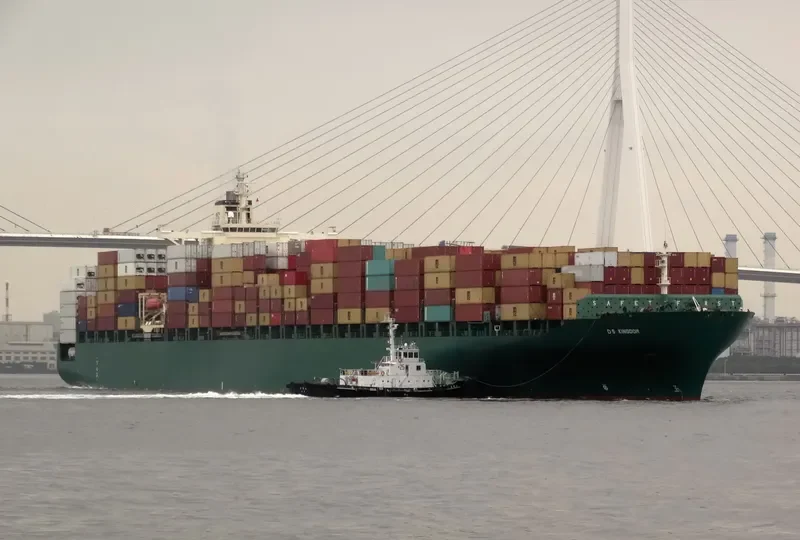 DS KINGDOM Container Ship IMO 9215828 photo 5