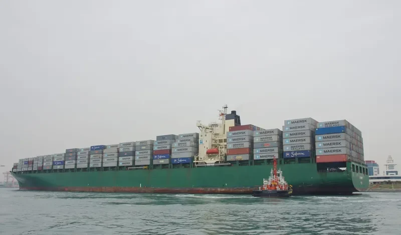 DS KINGDOM Container Ship IMO 9215828 photo 6