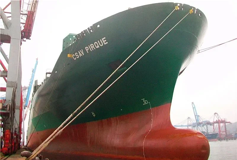DS NATIONAL Container Ship IMO 9215842 photo 6