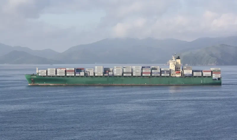 DS NATIONAL Container Ship IMO 9215842 photo 7