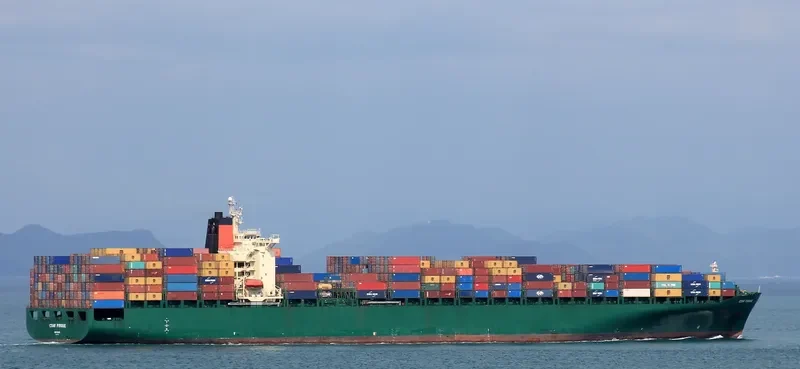 DS NATIONAL Container Ship IMO 9215842 photo 9