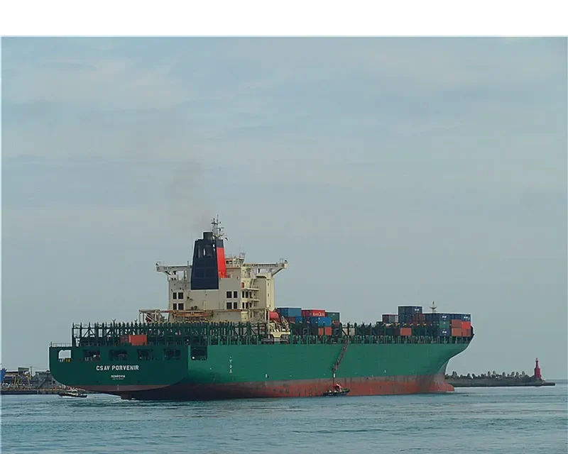 DS DOMINION Container Ship IMO 9215854