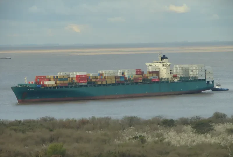 DS DOMINION Container Ship IMO 9215854 photo 3