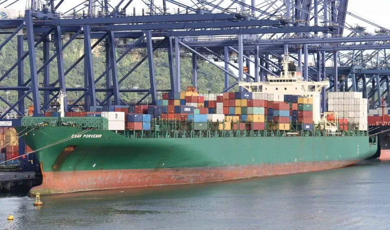 DS DOMINION Container Ship IMO 9215854 photo 6