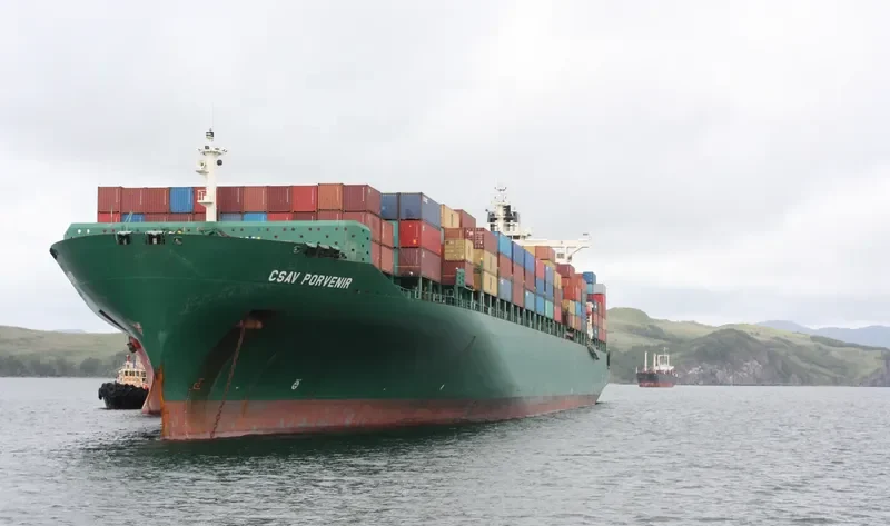 DS DOMINION Container Ship IMO 9215854 photo 8