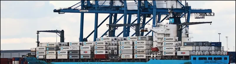 MAERSK NEWHAVEN Container Ship IMO 9215880 photo 2