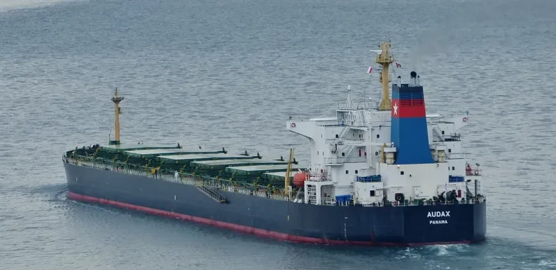 PU DONG 3 Bulk Carrier IMO 9215921