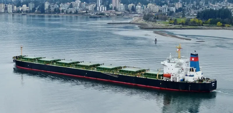 PU DONG 3 Bulk Carrier IMO 9215921 photo 2