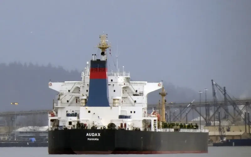 PU DONG 3 Bulk Carrier IMO 9215921 photo 3