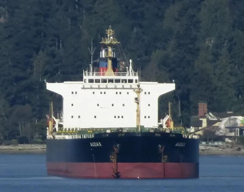 PU DONG 3 Bulk Carrier IMO 9215921 photo 4