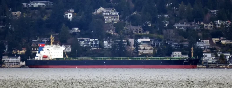 PU DONG 3 Bulk Carrier IMO 9215921 photo 5