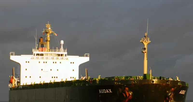 PU DONG 3 Bulk Carrier IMO 9215921 photo 6