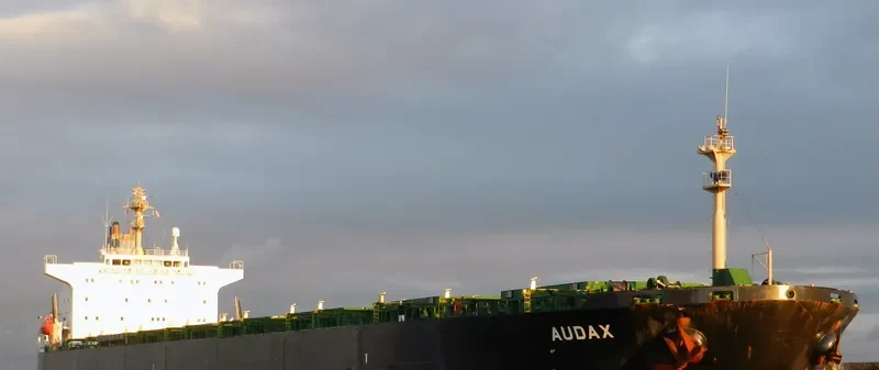 PU DONG 3 Bulk Carrier IMO 9215921 photo 7