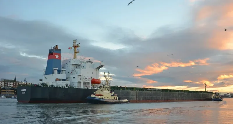PU DONG 3 Bulk Carrier IMO 9215921 photo 9