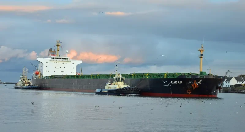 PU DONG 3 Bulk Carrier IMO 9215921 photo 10