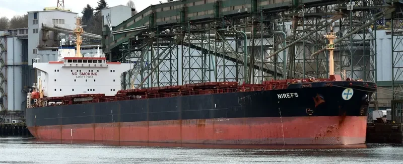MAGIC SUN Bulk Carrier IMO 9215933