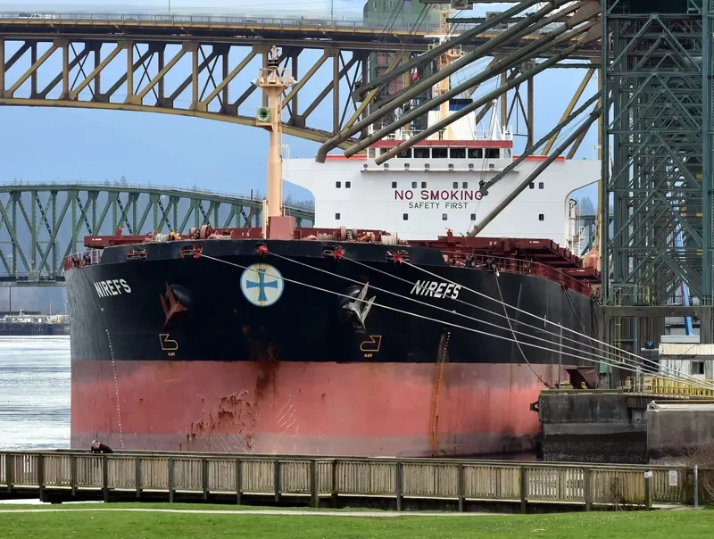 MAGIC SUN Bulk Carrier IMO 9215933 photo 3