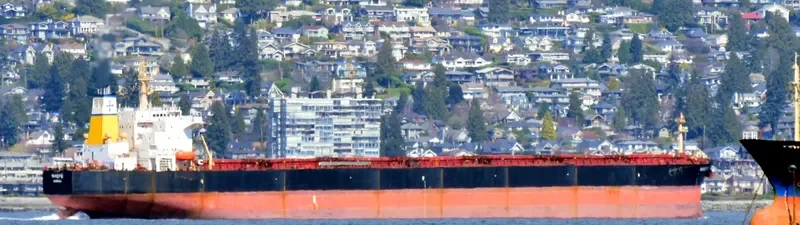 MAGIC SUN Bulk Carrier IMO 9215933 photo 4