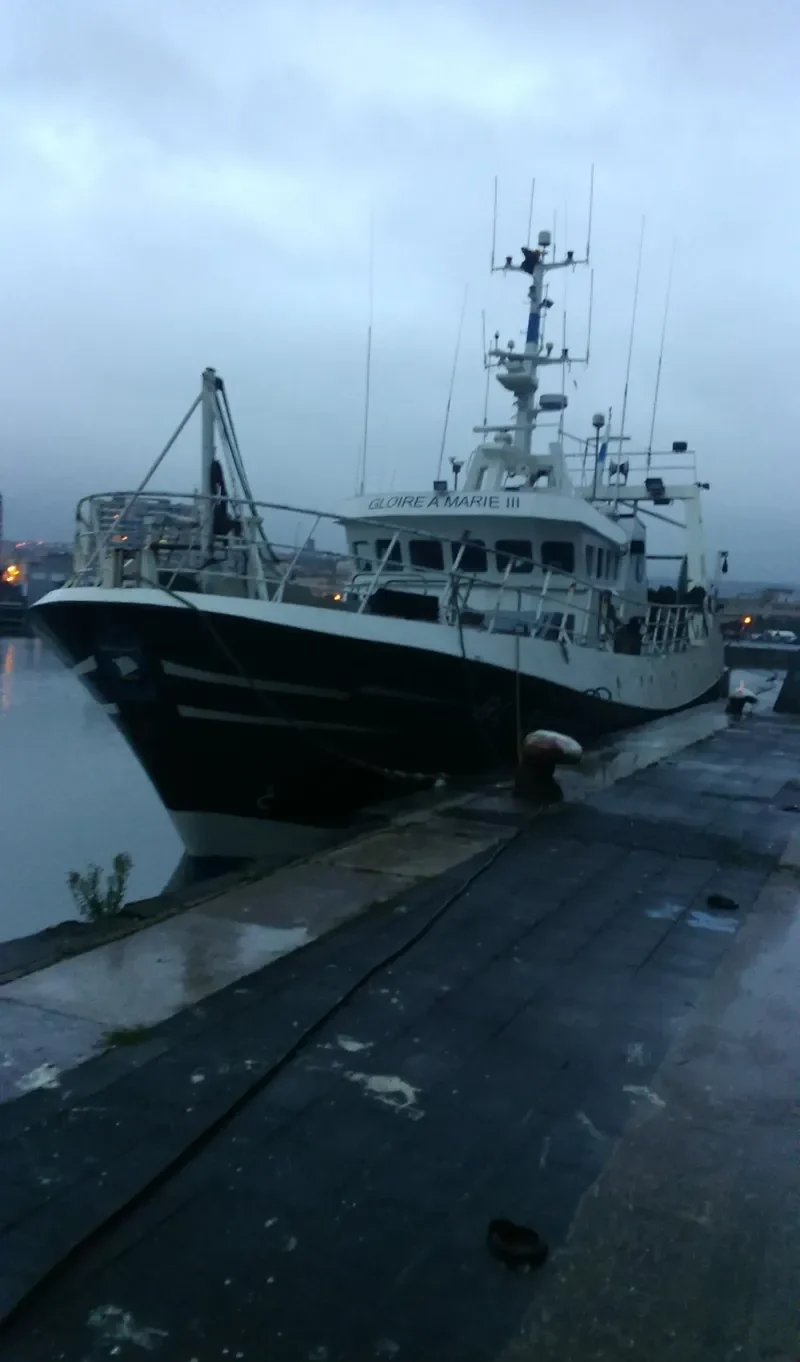 NAONED General Cargo IMO 9216080 photo 3