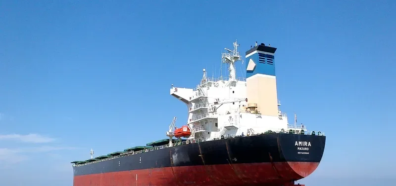 ORIENTAL PROMOTION Bulk Carrier IMO 9216248 photo 3